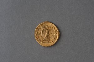 塞普蒂默斯西弗勒斯的金黄色葡萄球菌（金） 作者 小说